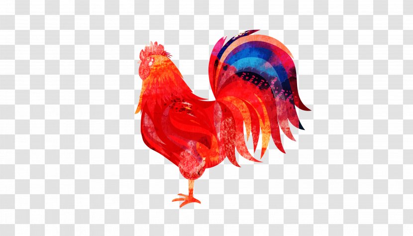 Chicken Rooster Zazzle - Cartoon - 2017 Cock Transparent PNG