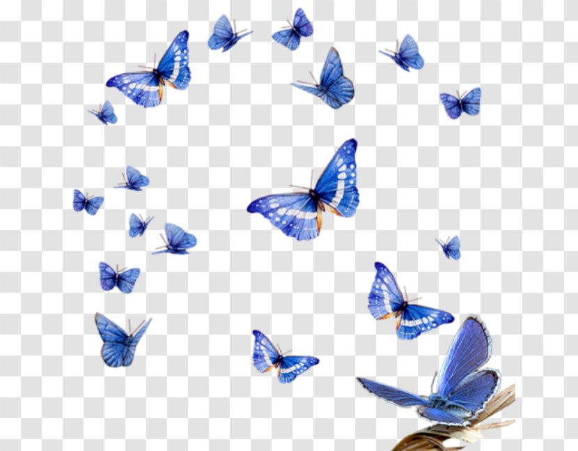 Butterfly Clip Art - Wing - Mall Decoration Transparent PNG