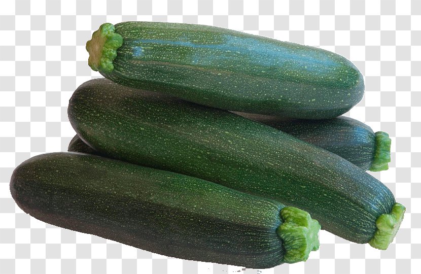 Zucchini Cucumber Calabaza Vegetable Summer Squash - Gherkin - Vegetables Transparent PNG