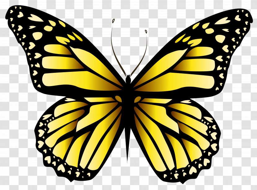 Butterfly Orange Clip Art - Monarch - Yellow Clipar Image Transparent PNG