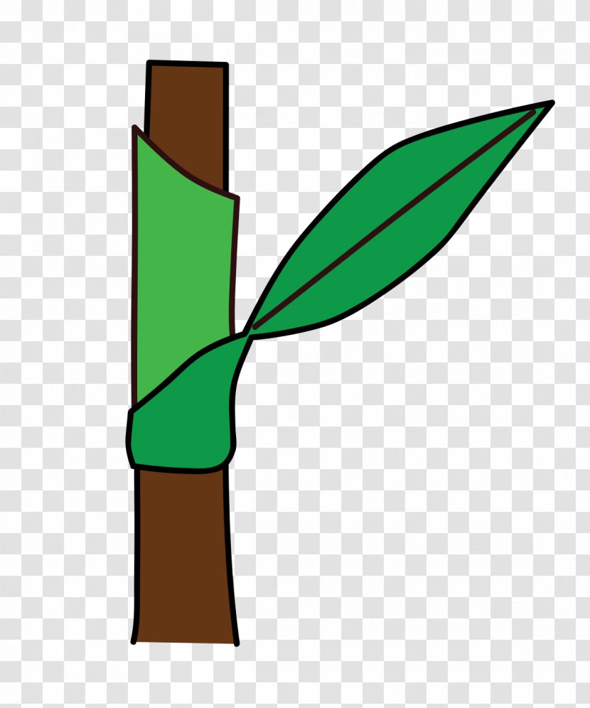 Leaf Ochrea Plant Stem Petiole Redshank Transparent PNG