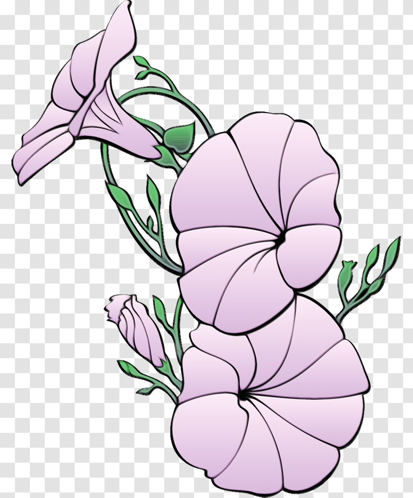 Floral Design Transparent PNG