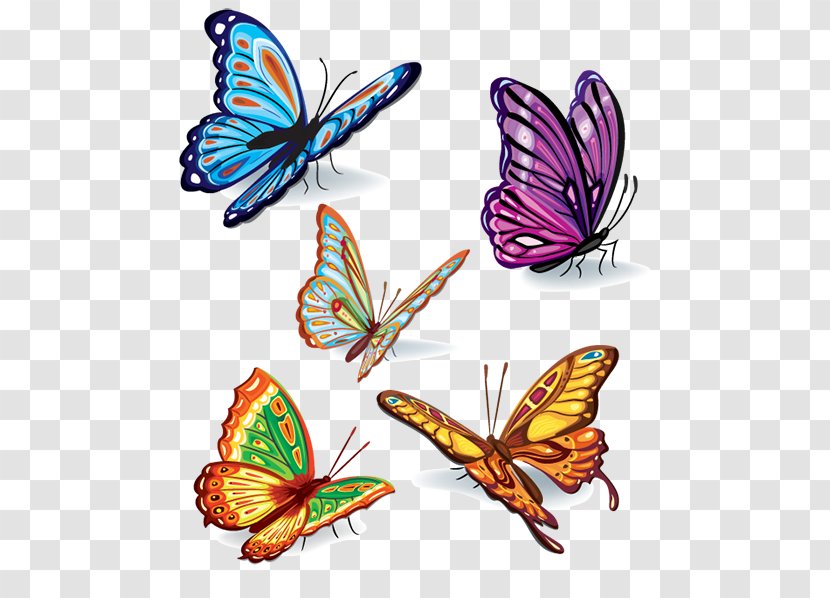 Butterfly Color Insect Clip Art - Wing - Creative Transparent PNG