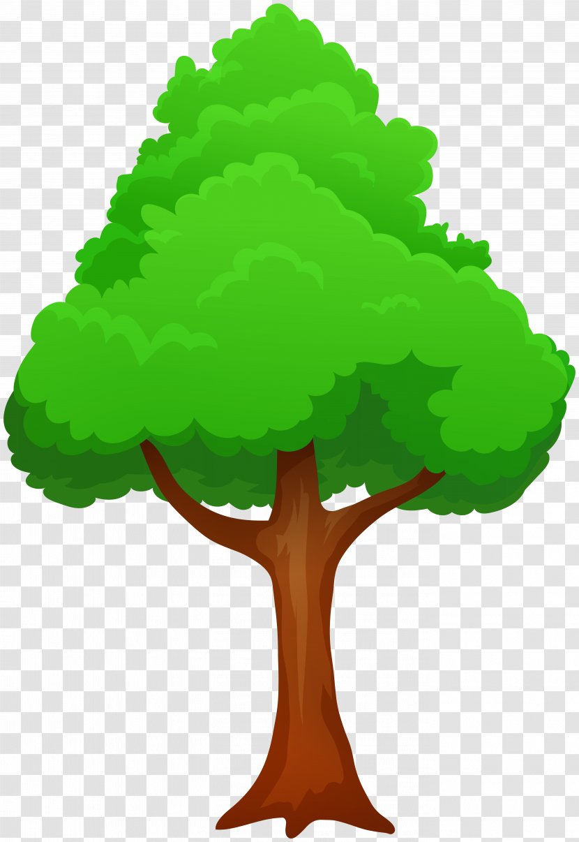 Vector Graphics Drawing Clip Art Image Cartoon - Royaltyfree - Tree Transparent PNG