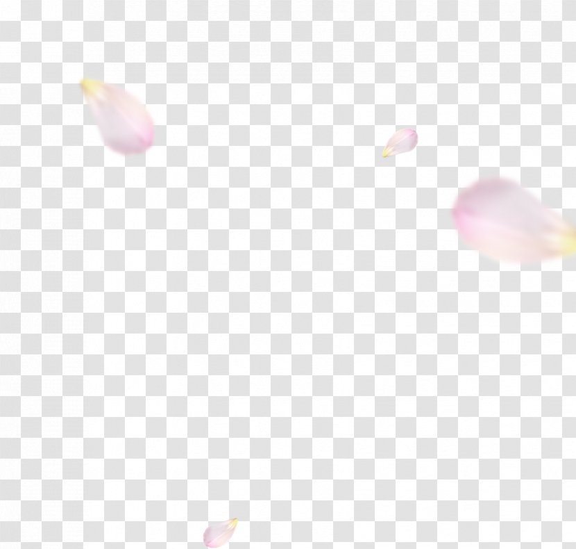 Pink M Desktop Wallpaper Close-up Computer Beauty.m - Petal - Floating Transparent PNG