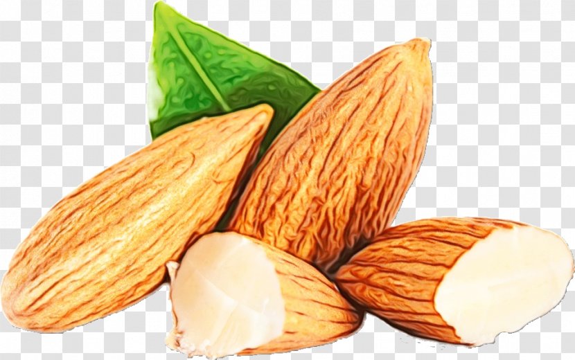 Almond Food Apricot Kernel Nut Plant - Nuts Seeds - Cuisine Transparent PNG