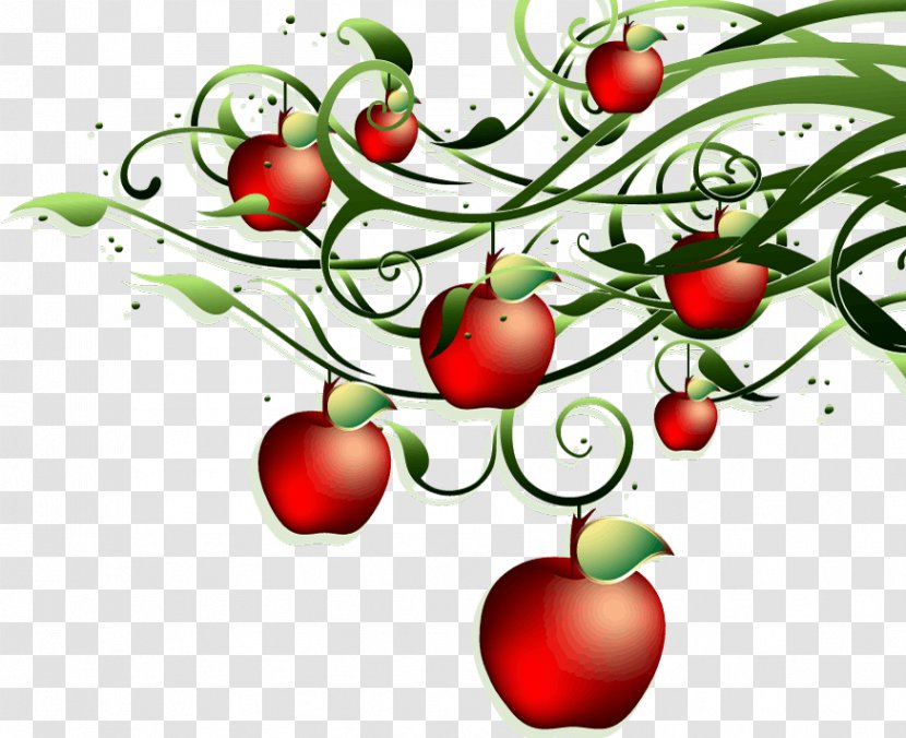 Apple Tomato Royalty-free Transparent PNG