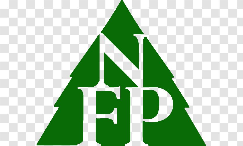 Logo Clip Art Brand Leaf Cedar Forest Transparent PNG