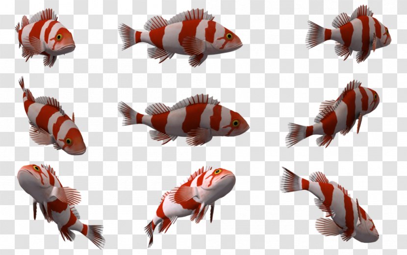 Fish Deep Sea Creature Clip Art - Animal Source Foods - Nine Transparent PNG