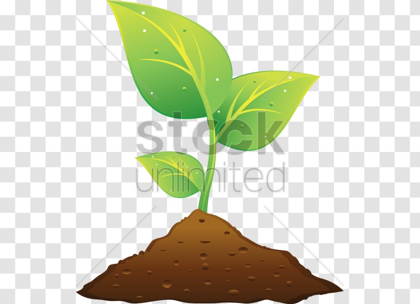 Plant And Soil Clip Art - Royaltyfree Transparent PNG