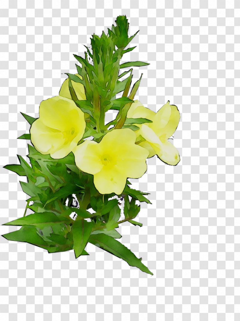 Floral Design Cut Flowers Common Evening-primrose - Eveningprimrose Transparent PNG