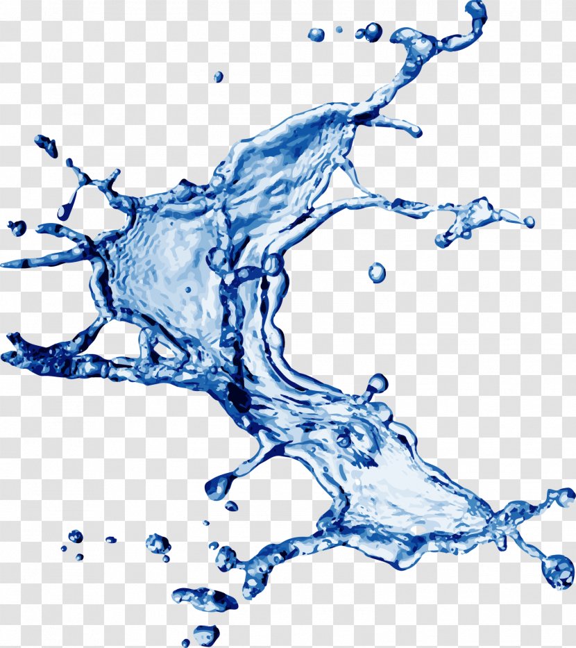 Splash Drop Water - Transparency And Translucency - Feisa Transparent PNG