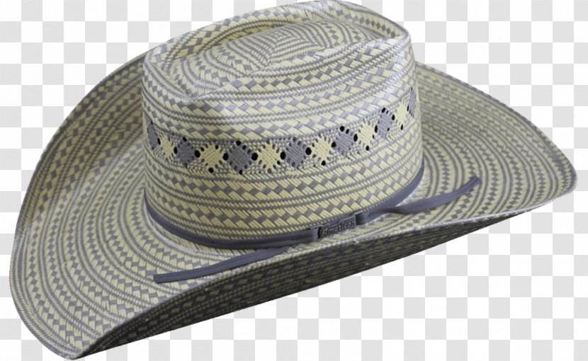 Fedora Cowboy Hat American Company - Horse Transparent PNG