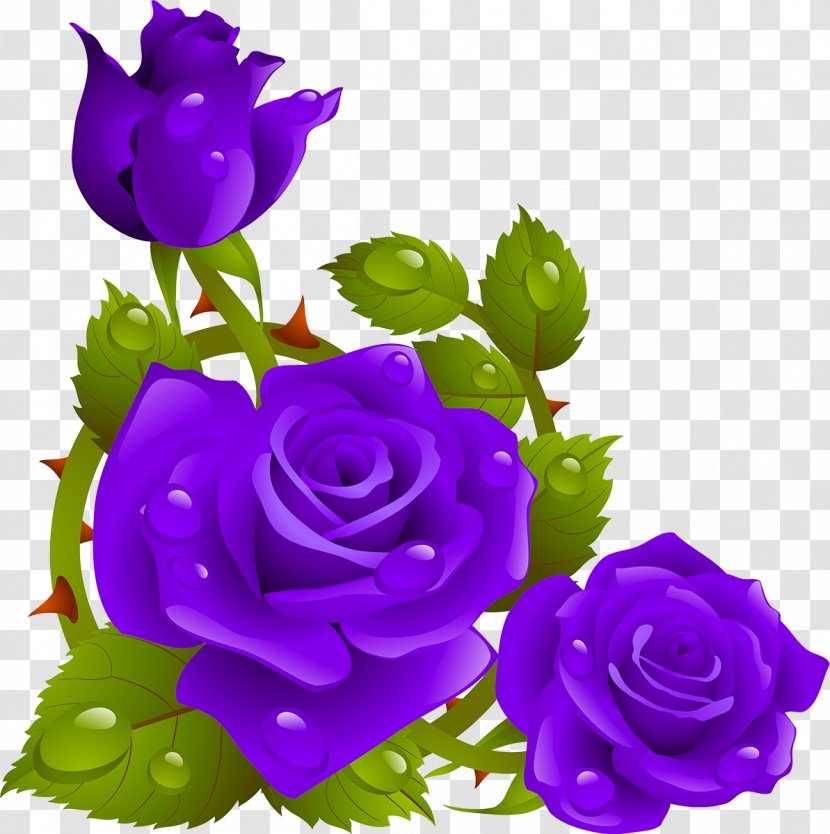 Rose Flower Stock Photography Clip Art - Garden Roses - Blue Transparent PNG