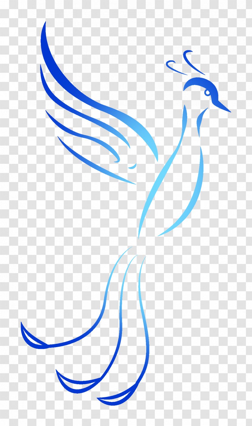 Bird Vertebrate Line Art Transparent PNG