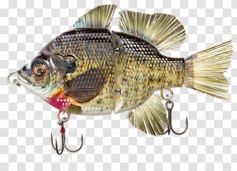 Plug Fishing Baits & Lures Swimbait - Bass Transparent PNG