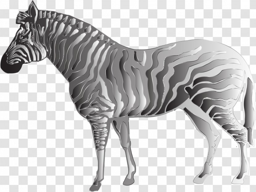 Quagga Mustang Clip Art - Terrestrial Animal Transparent PNG