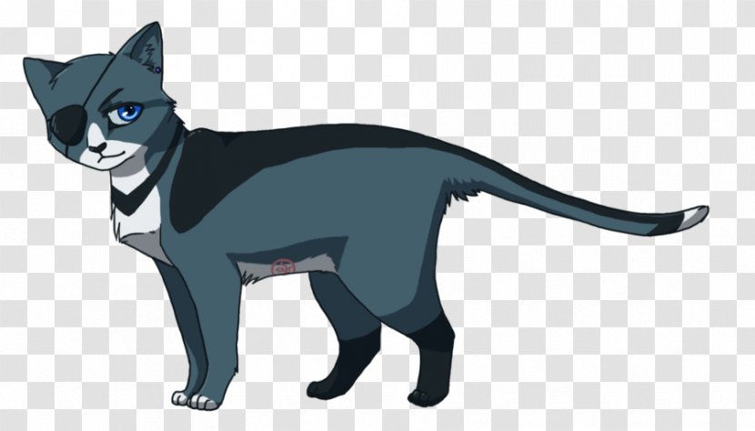 Kitten Ciel Phantomhive Whiskers Korat Black Cat - Frame Transparent PNG