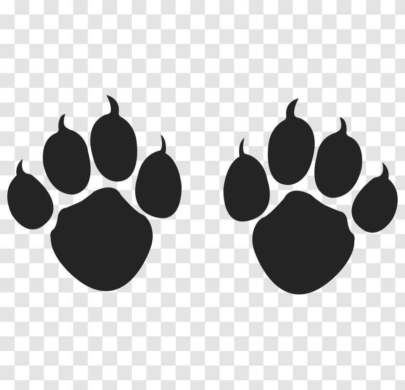 Cat Paw Dog Pet Claw - Monochrome Photography Transparent PNG