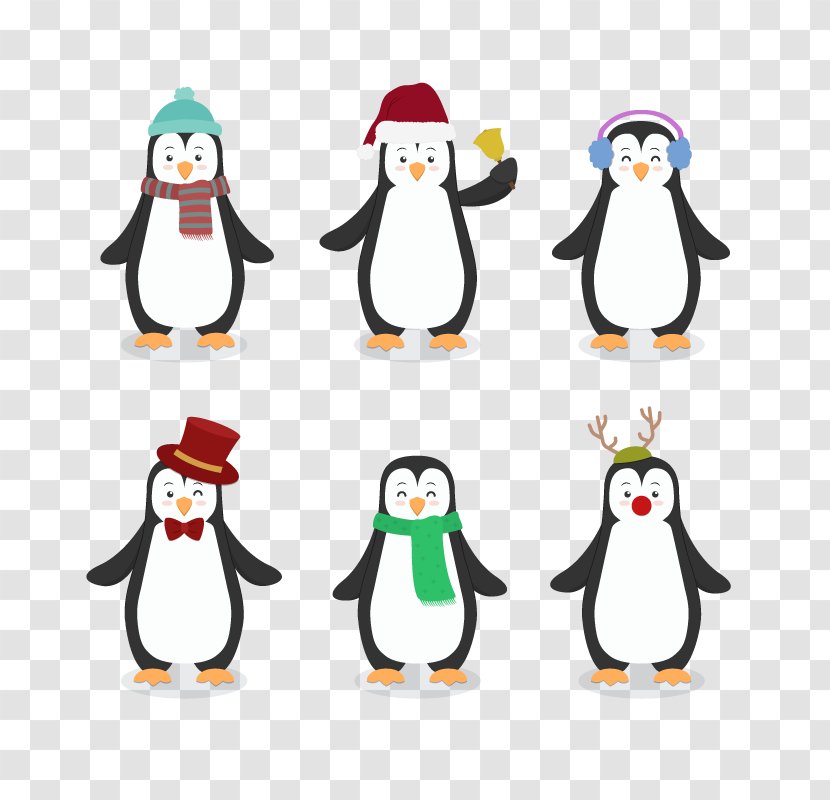 Penguin Bird Cartoon Drawing - Beak - Vector Christmas Transparent PNG