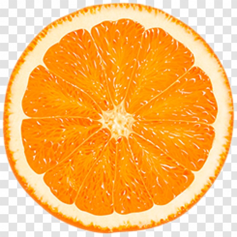 Orange Slice Citrus × Sinensis Stock Photography Color Transparent PNG