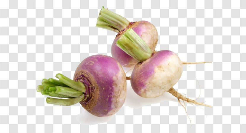 Turnip Root Vegetables Rutabaga Radish - Food - Turniphd Transparent PNG