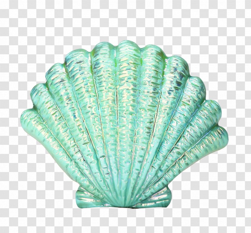 Green Leaf Background - Turquoise - Shell Scallop Transparent PNG