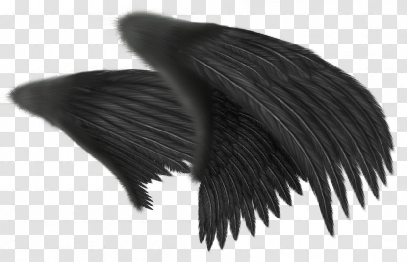 Angel Wing Clip Art - Black Transparent PNG