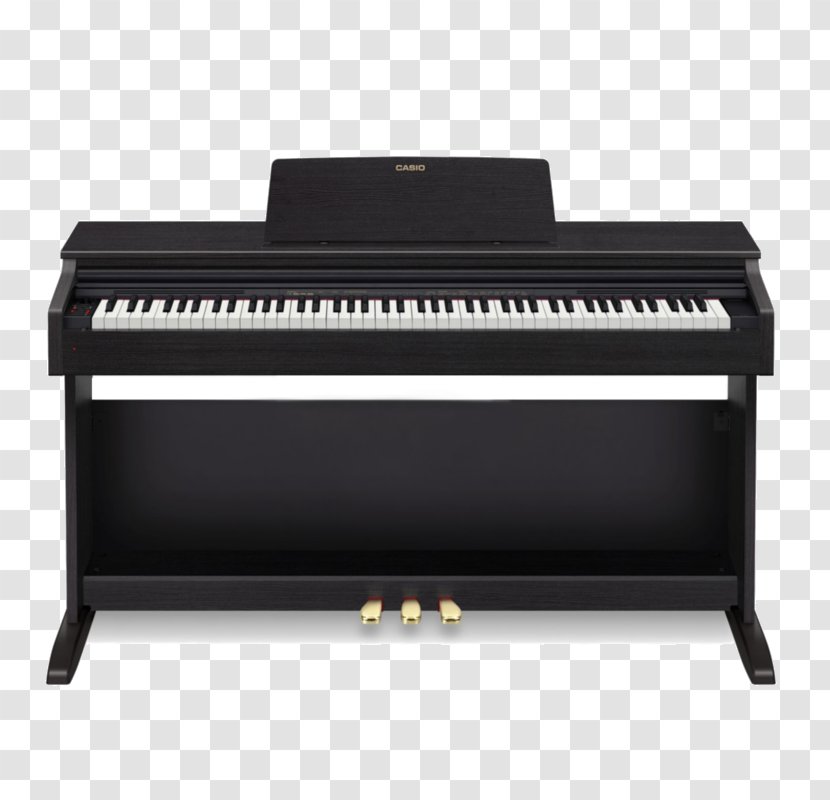 Digital Piano Casio Privia Action - Cartoon Transparent PNG