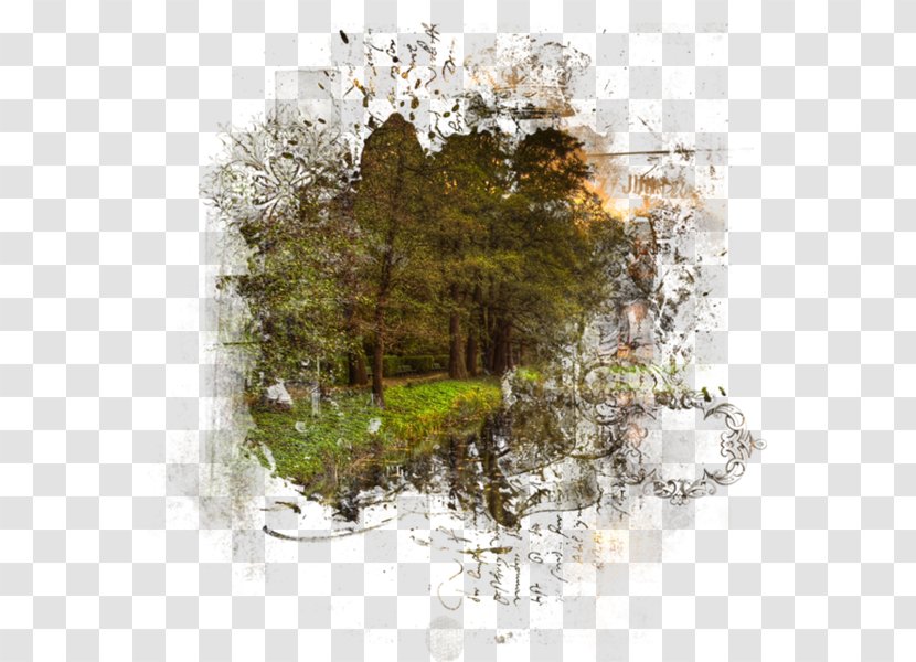 Clip Art - Fotosua - Stock Photography Transparent PNG