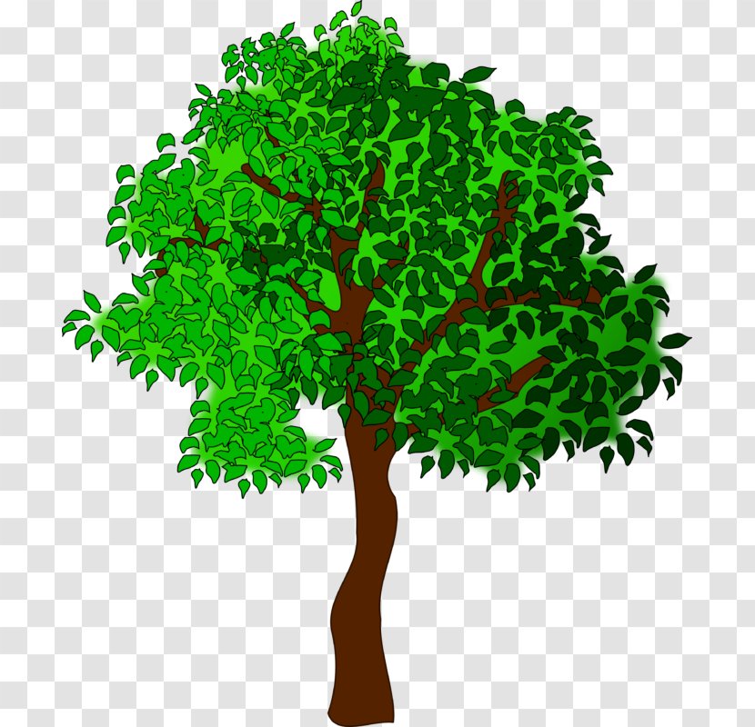 Clip Art Openclipart Tree Season Image - Summer Transparent PNG
