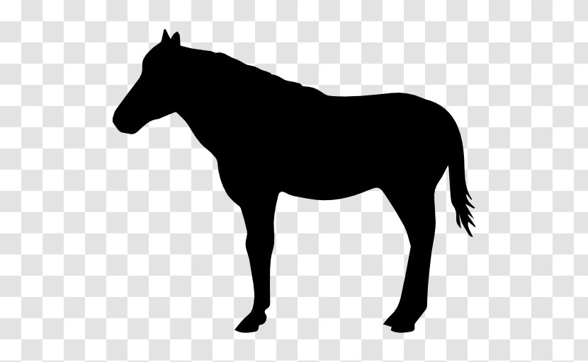 American Quarter Horse Silhouette Drawing Clip Art - Mane - Standing Transparent PNG