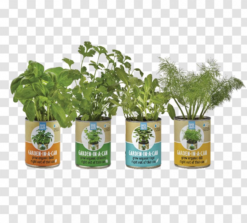 Back To The Roots Gardening Herb Aquaponics - Root Of Plant Transparent PNG