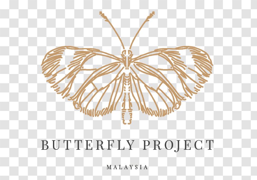 Butterfly Malaysia Insect Project Hello Butterflies! - Organism Transparent PNG