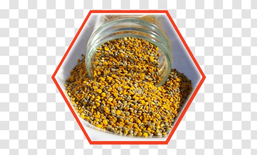 Western Honey Bee Pollen Beehive Beekeeping - Urban - Polen Transparent PNG