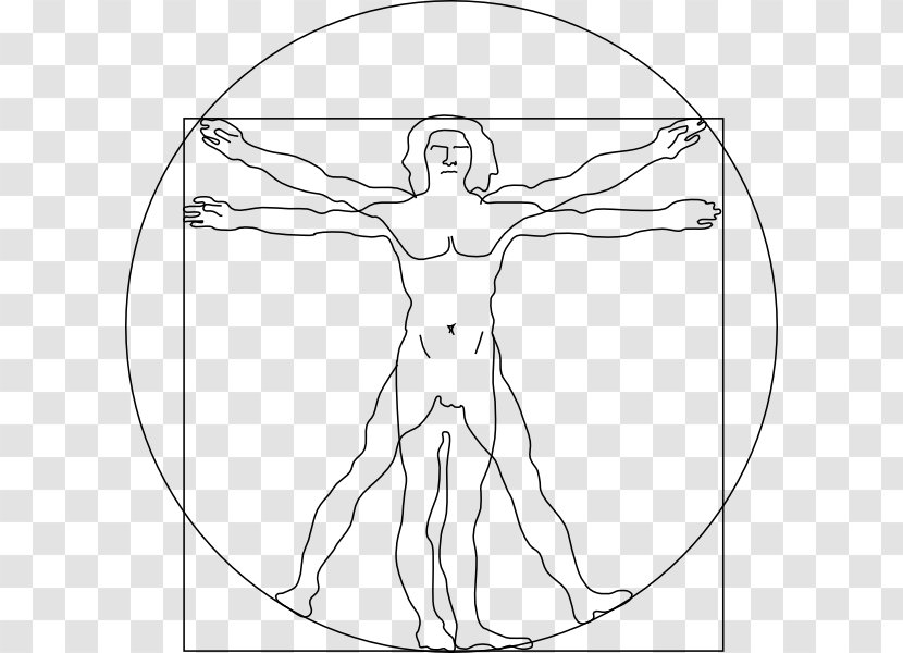 Vitruvian Man Proportion Clip Art - Cartoon - Boarding Vector Transparent PNG