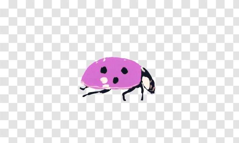 Ladybird Insect Cartoon Illustration - Magenta - Ladybug Transparent PNG