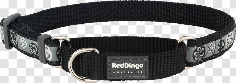Dog Collar Cat Dingo - Red Transparent PNG