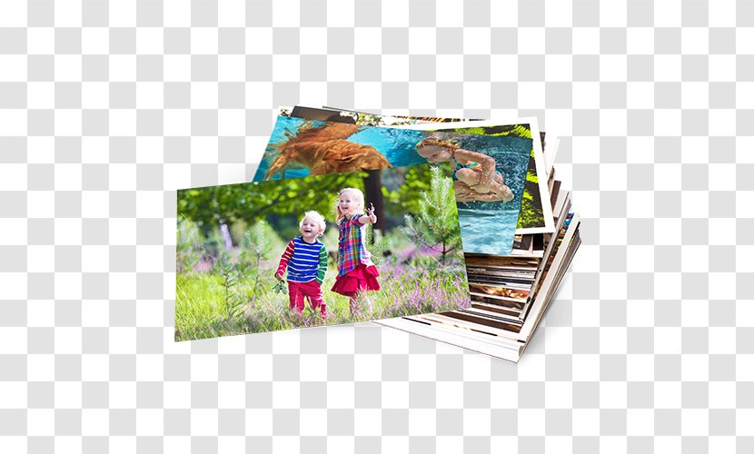 Photo-book Printing Photo Albums - Personalized Book Transparent PNG