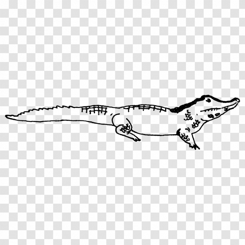 Tyrannosaurus Velociraptor Velociraptor Standing Crocodiles Angle Transparent PNG