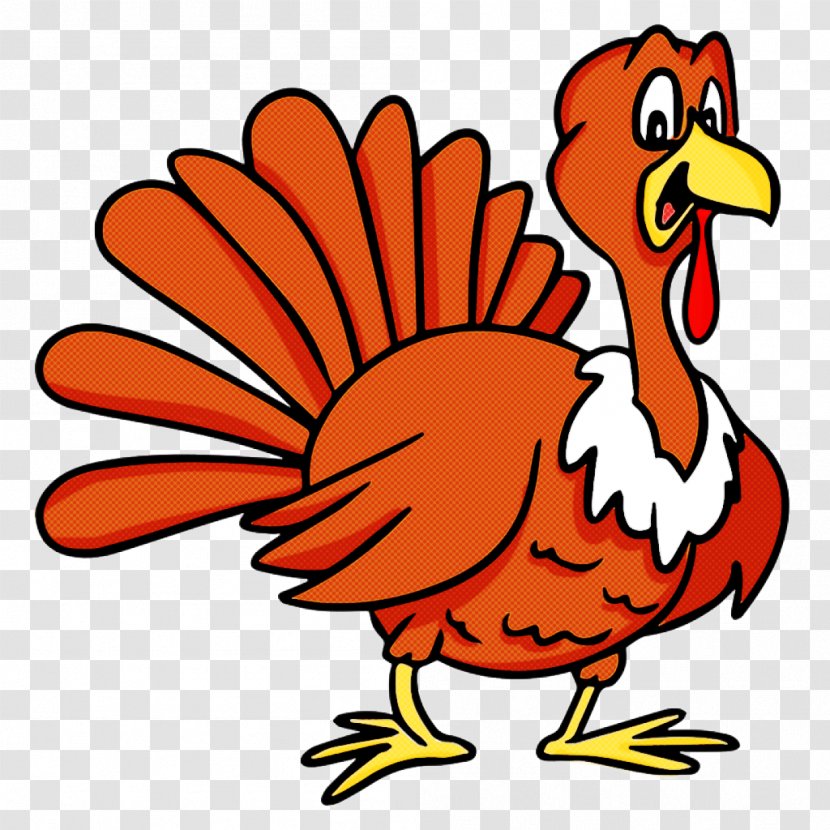 Bird Chicken Beak Rooster Cartoon - Livestock Transparent PNG