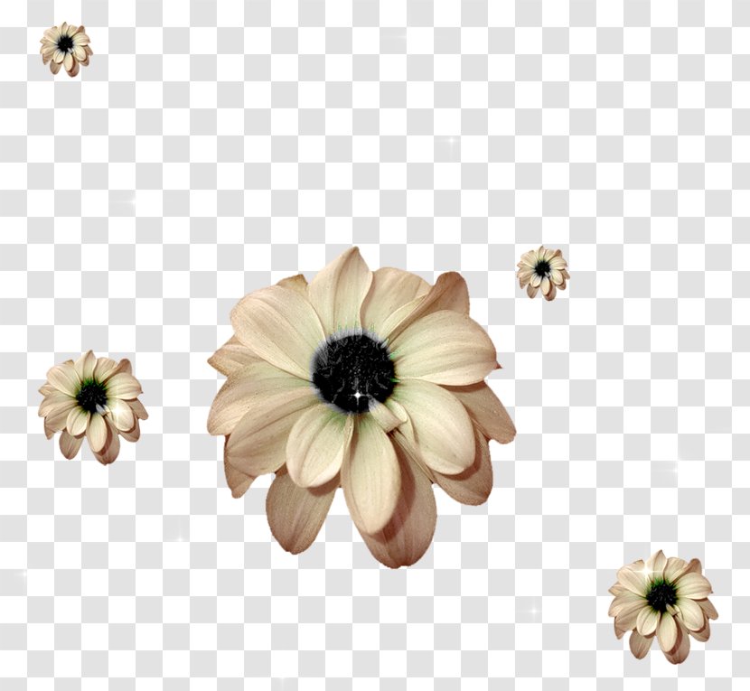 Clip Art - Drawing - Flower Picture Floral Pattern Transparent PNG
