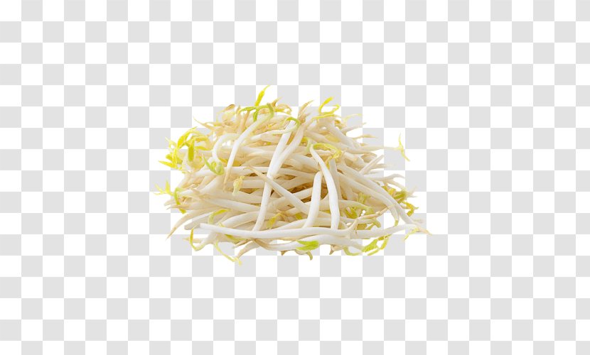 Alfalfa Sprouts Soybean Sprout Namul Sprouting - Vegetable Transparent PNG