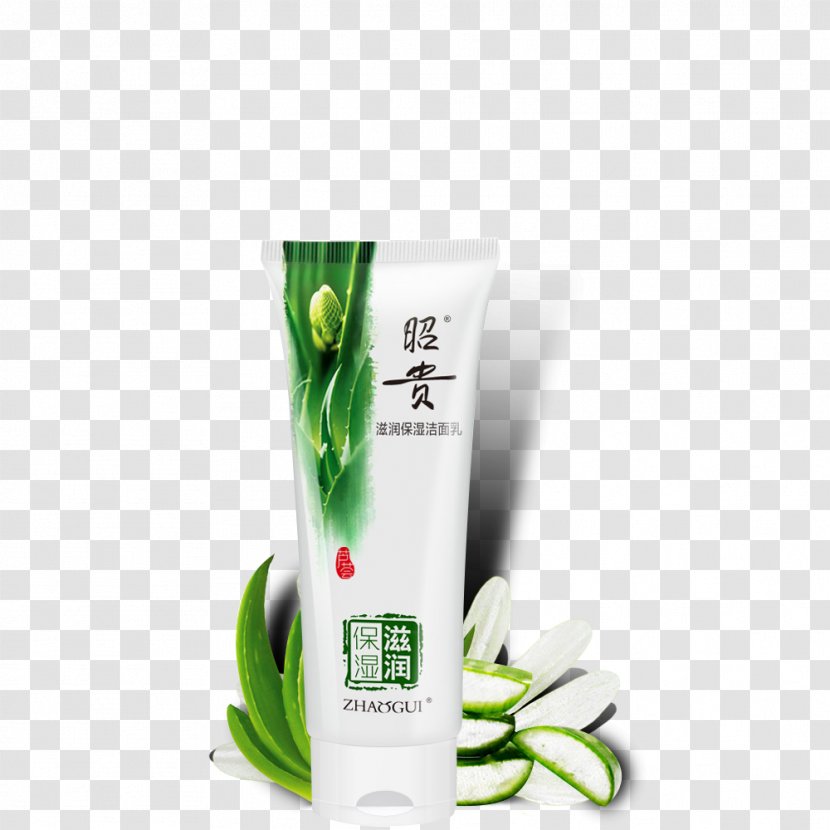 Aloe Vera Cosmetics Plant Gel Reinigungswasser - Succulent - Cosmetic Composition Material Transparent PNG