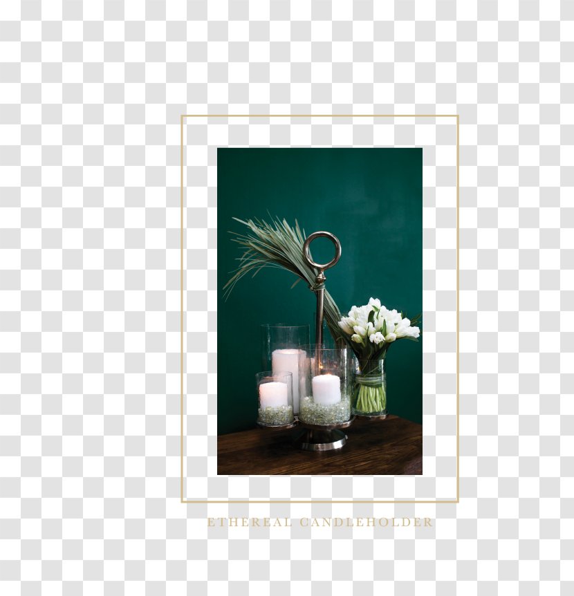 Still Life Photography Picture Frames Flower Transparent PNG