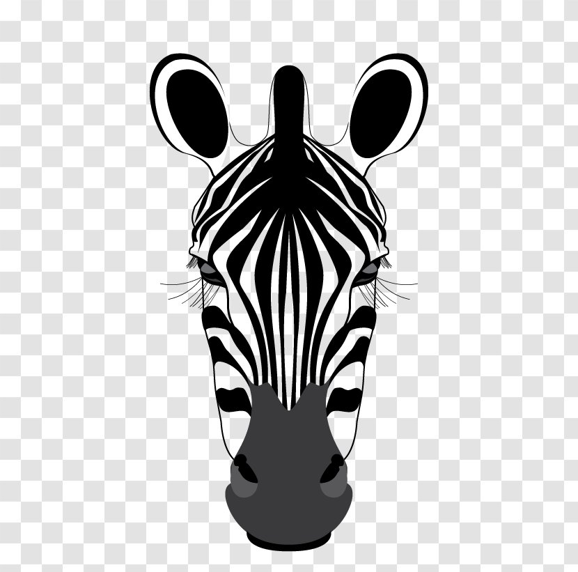 Zebra Font Pattern Snout - Horse Like Mammal Transparent PNG