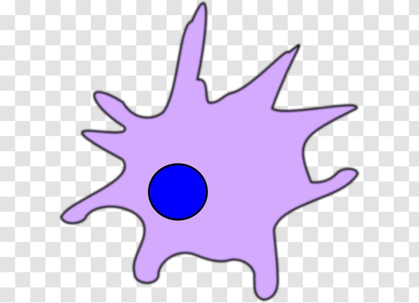 Dendritic Cell Dendrite Clip Art - Point Transparent PNG