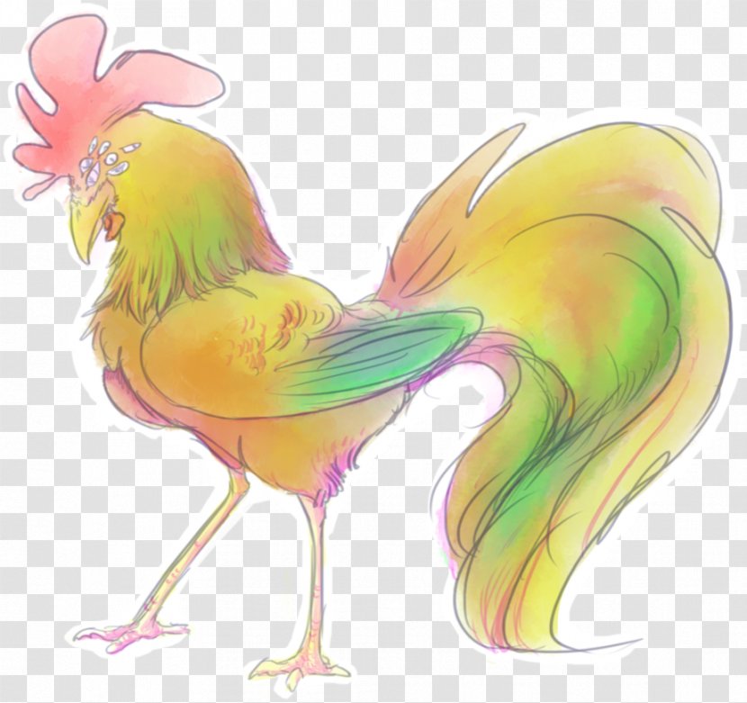Bird Chicken Rooster Phasianidae Animal Transparent PNG