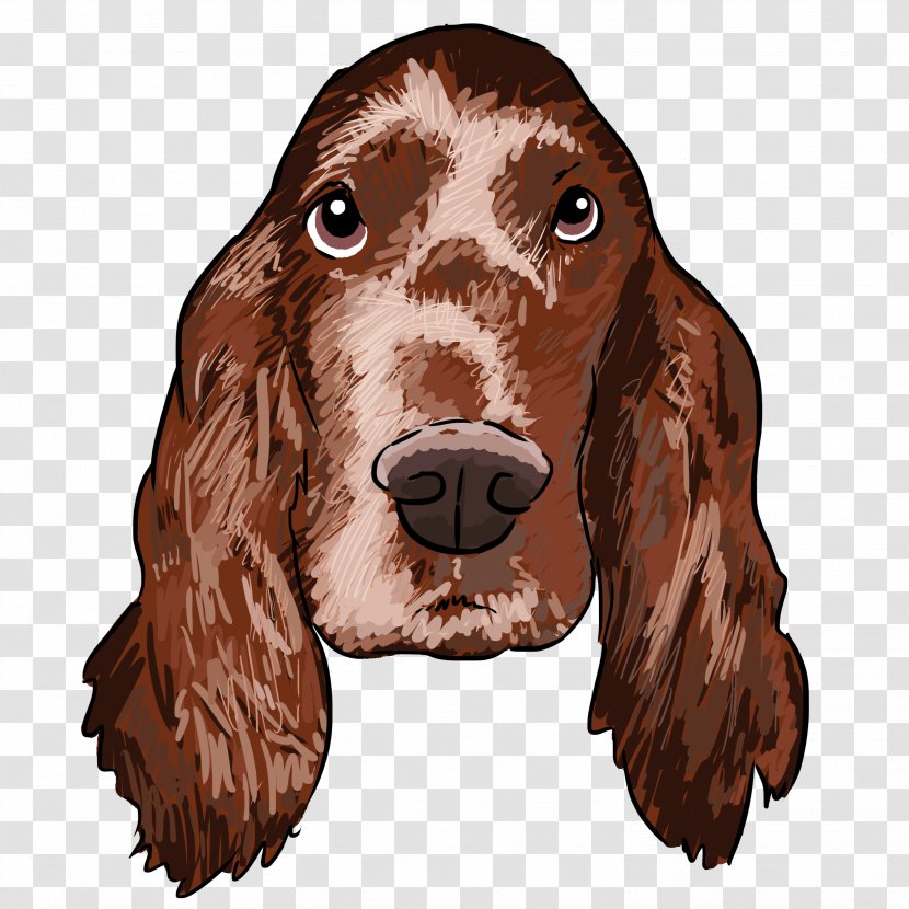 Irish Setter Boykin Spaniel Field Sussex English Cocker - Mexican Hairless Dog Transparent PNG
