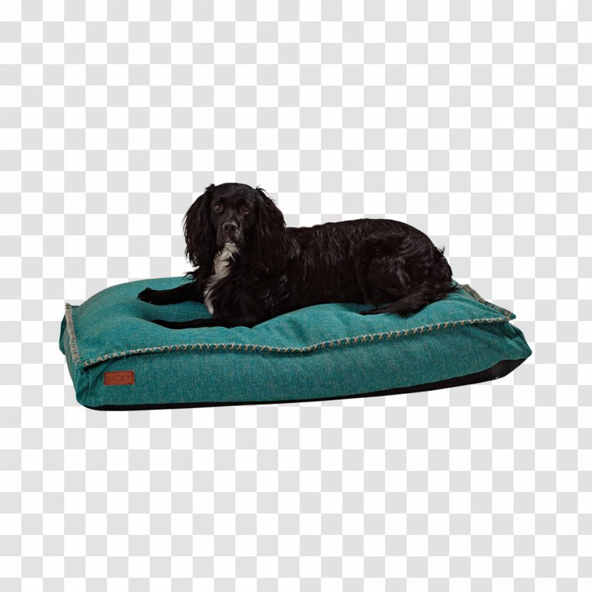 German Shepherd Bean Bag Chairs Pillow Labrador Retriever - Comfort Transparent PNG